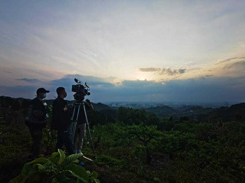 聚焦临淄区产品宣传视频拍摄公司，用专业实力铸就品牌传播传奇