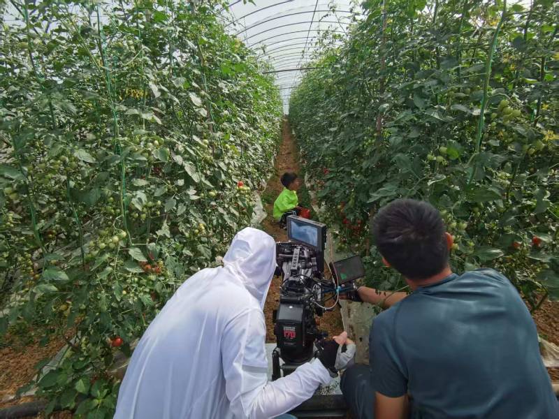 临淄区产品宣传视频拍摄公司进阶指南，助力品牌抢占传播高地